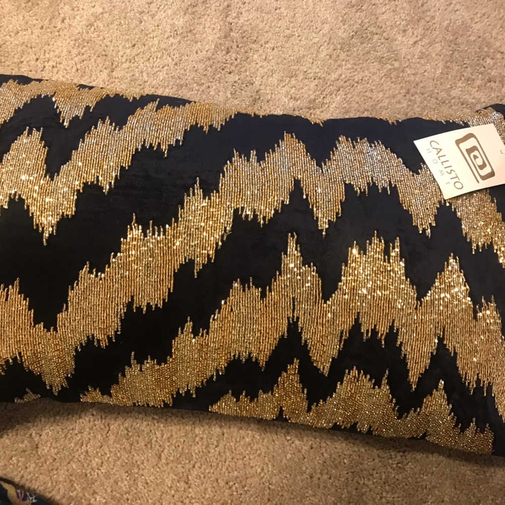 NWT Callisto lumbar Pillow